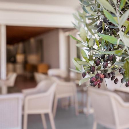 Paul Marie Hotel Apartments Ayia Napa Exterior foto